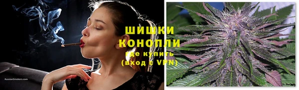 гашик Протвино