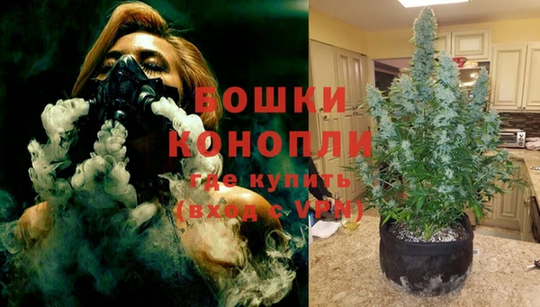 гидра Пролетарск