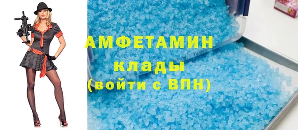 стаф Аркадак