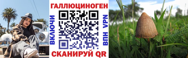 блэк спрут зеркало Гаджиево Псилоцибиновые грибы прущие грибы цены